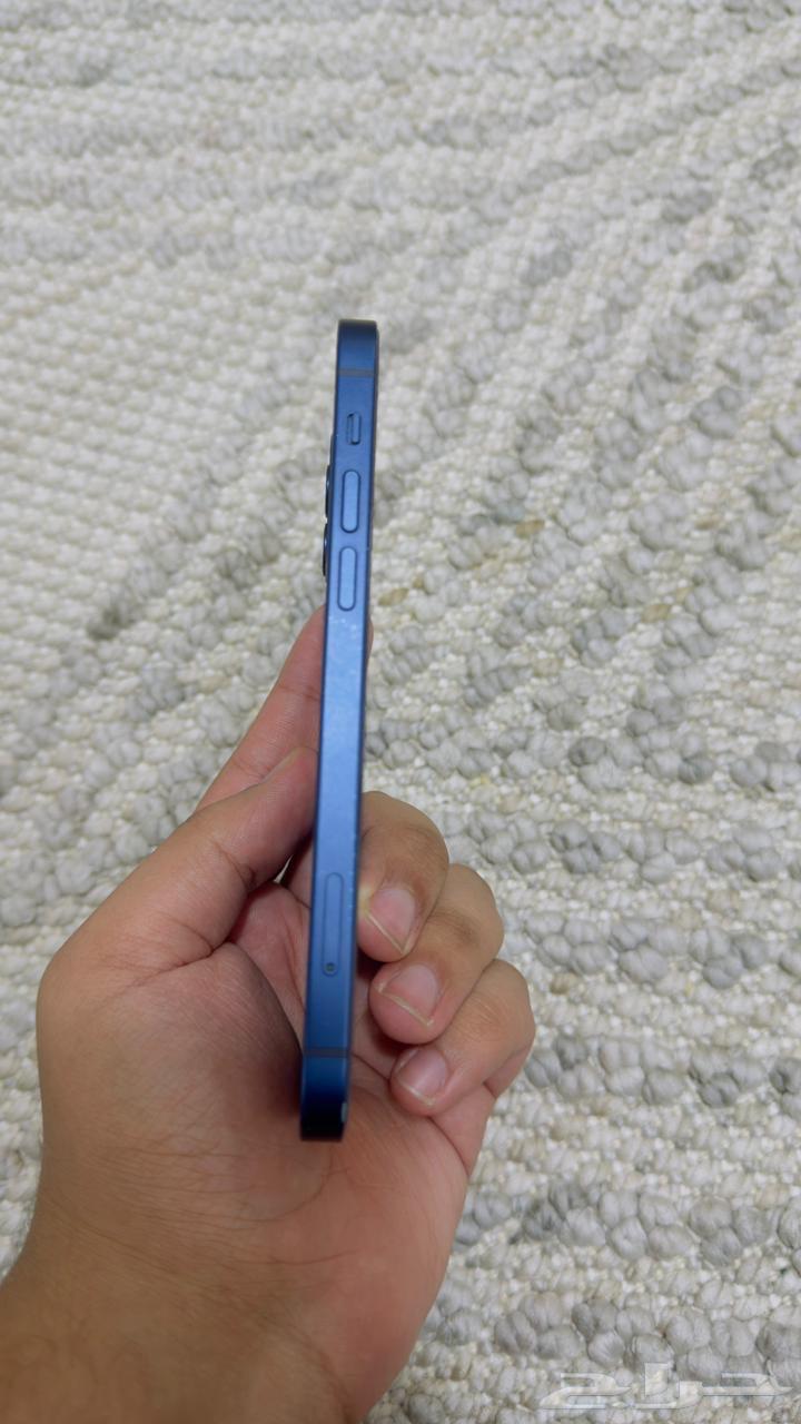 iPhone 12 regular64507501478914113