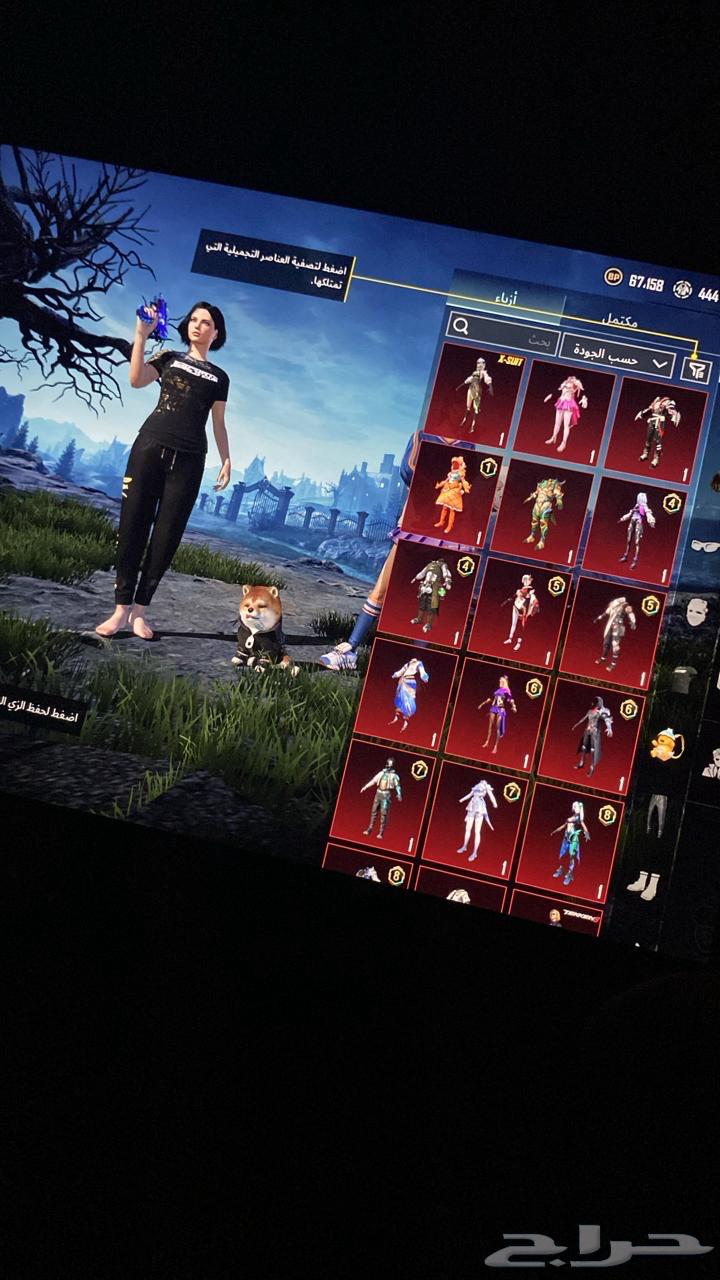 حساب ببجي للبيع64503760524803112