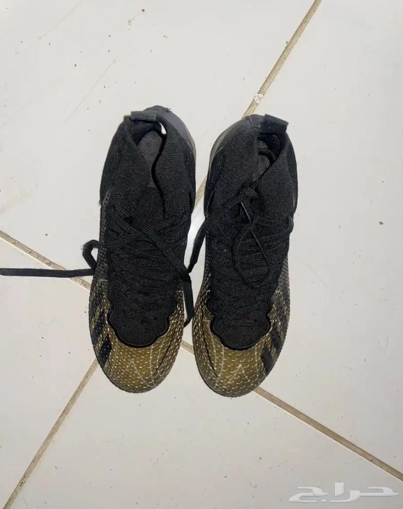 ينبع البحر64507277224835112