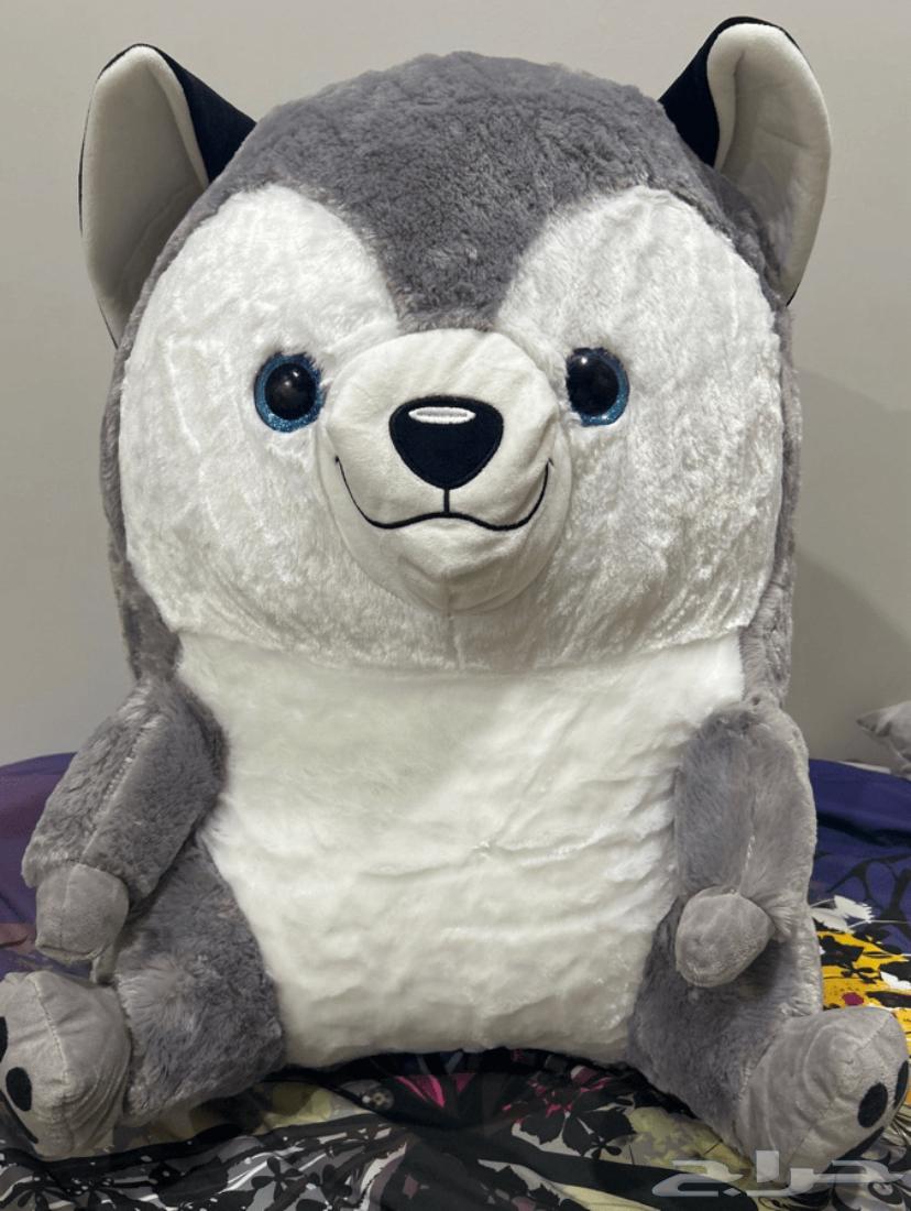 دب للبيع سعره 50 ريال غير شامل التوصيل والشحن64508985607937110