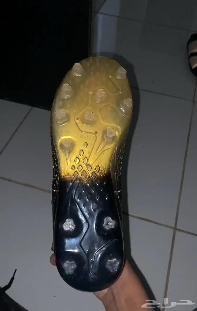 ينبع البحر64507277224835110