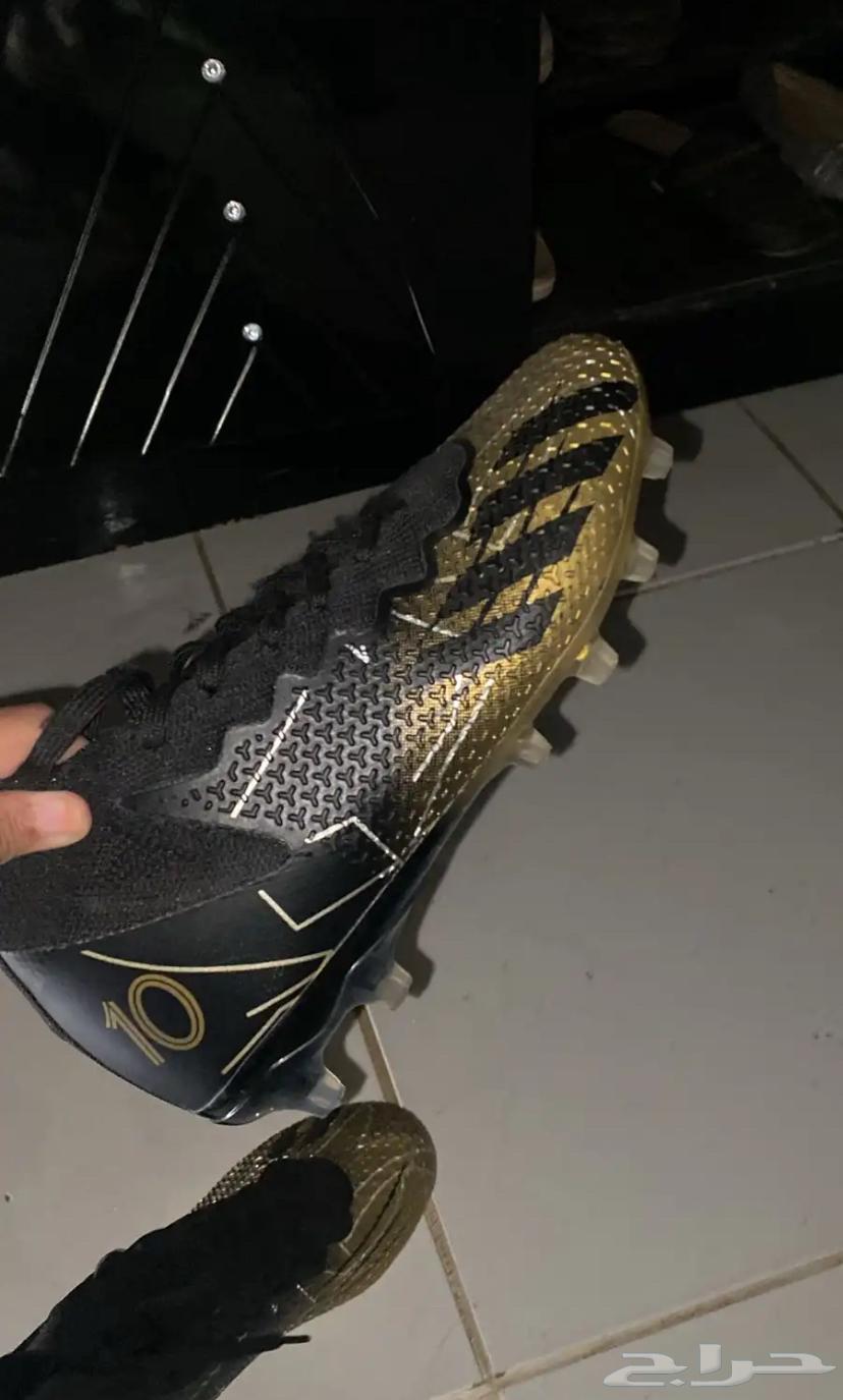 ينبع البحر64507277224835113