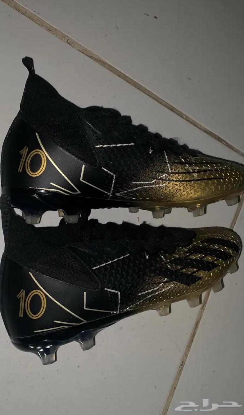 ينبع البحر64507277224835111