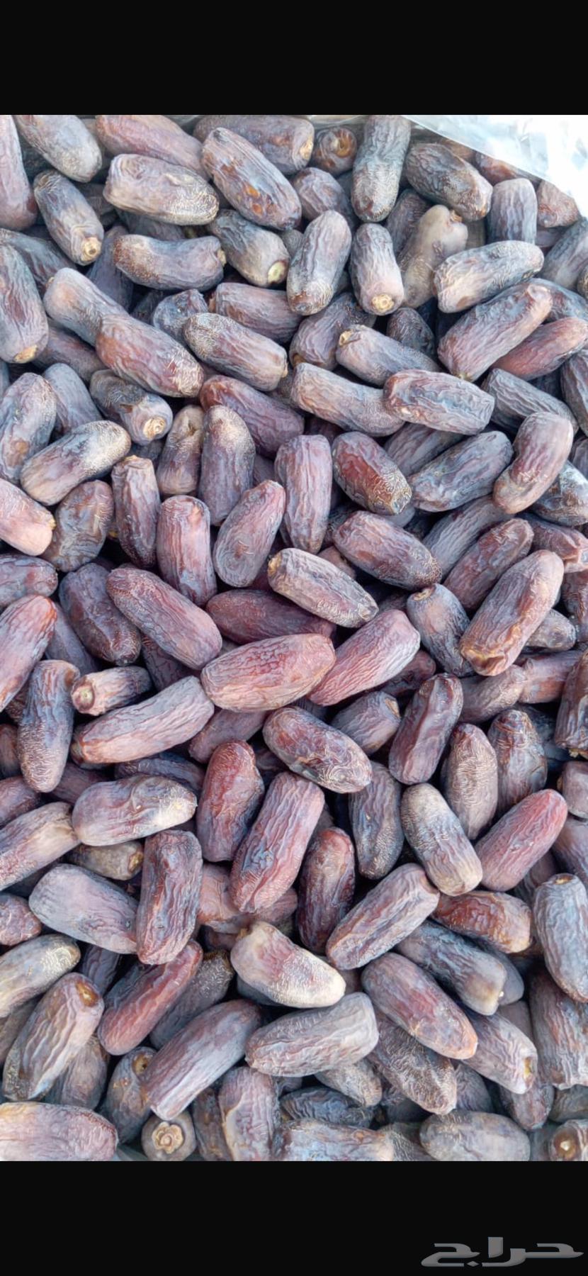 Amber Date64507374980866110