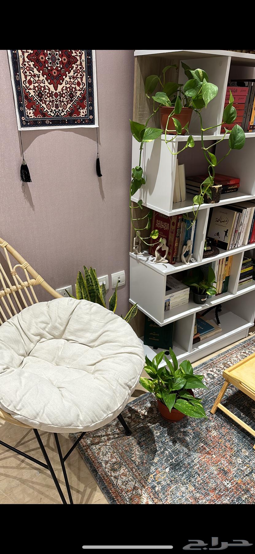 كرسي راتان بامبو جميلة ونظيفة ب 200 ريال مع الوسادة64503404474883112