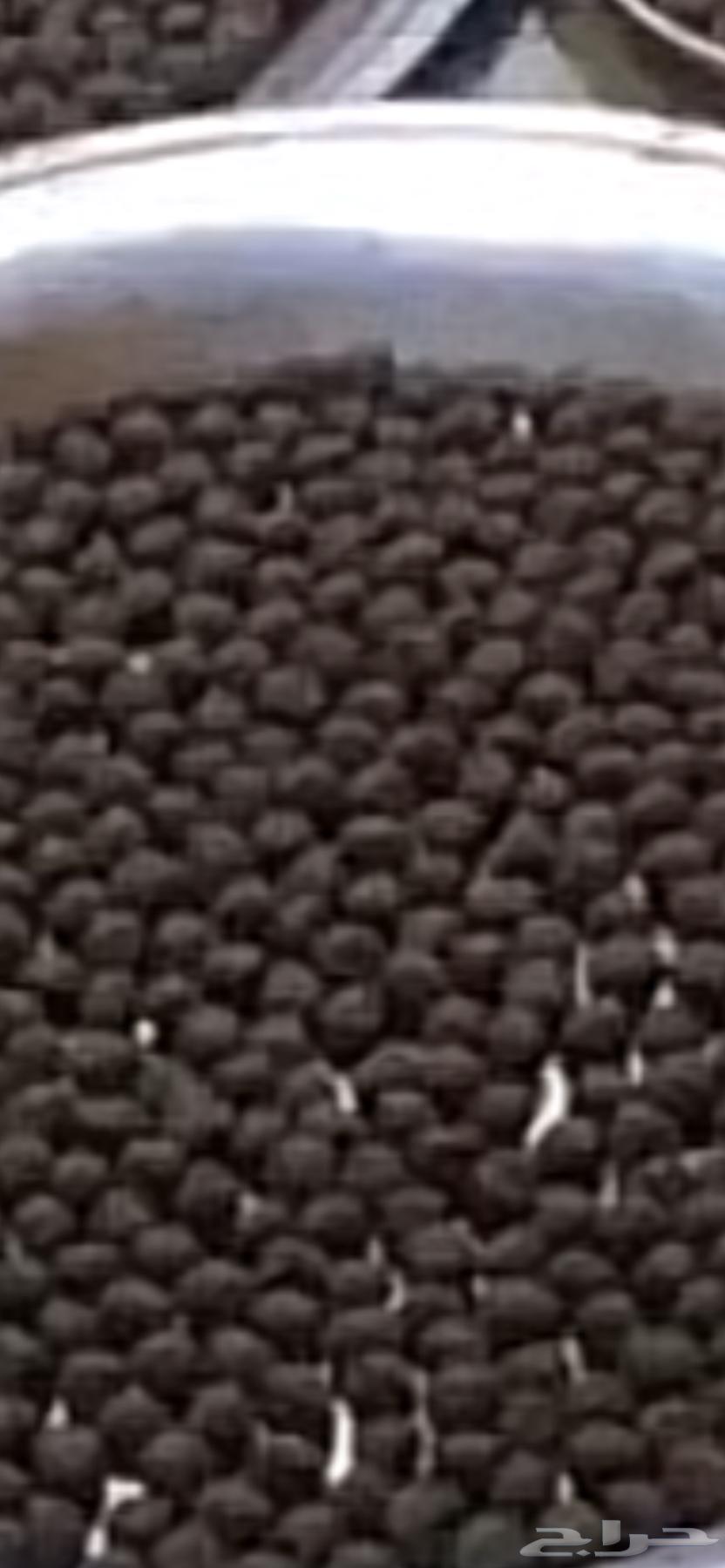 دخون ورشوش ومفارش الرداء. وخمريات64506718118401111