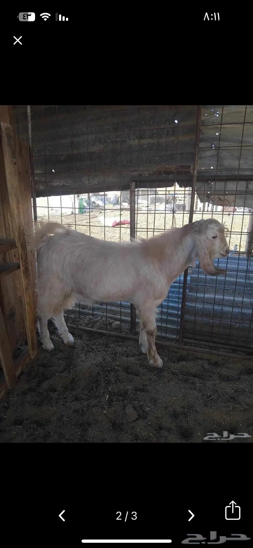 Projects Bucks64509124181763111