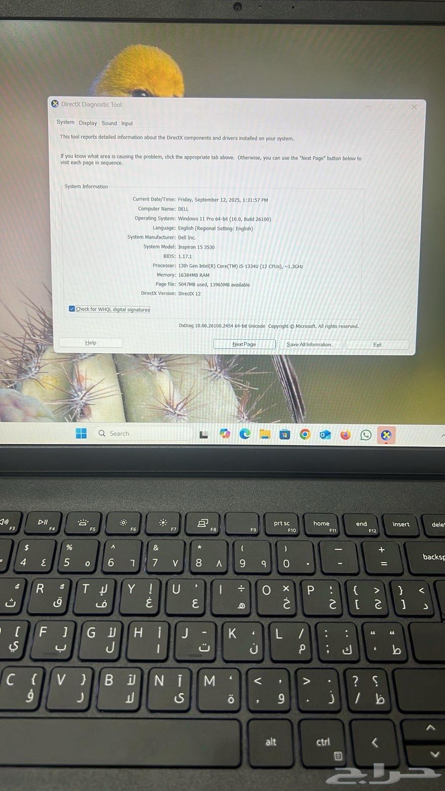 جهاز لابتوب dell جديد64505937625091112