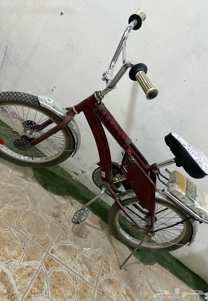 للبيع سيكل رامبو64510239242499110