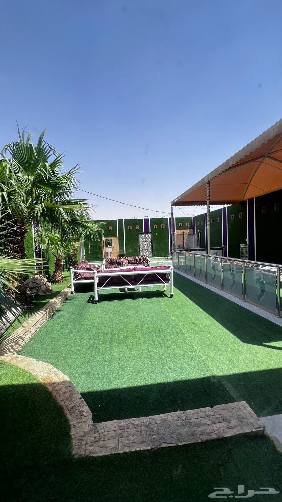 شاليه ايجار يومي شاليهات بشكات جنوب الرياض حي عريض64509686880386114