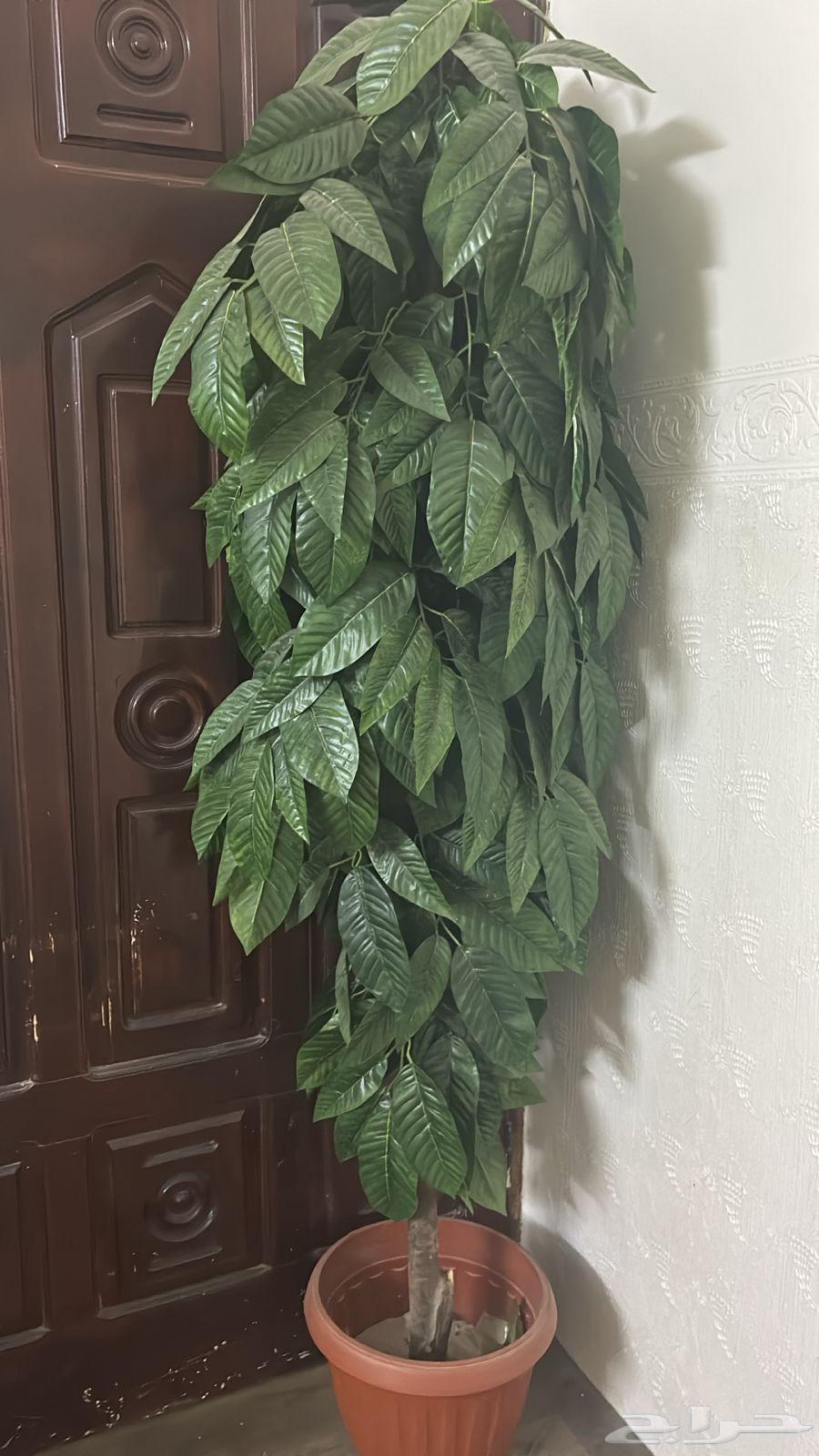 طاوله و برواز64508452965123113