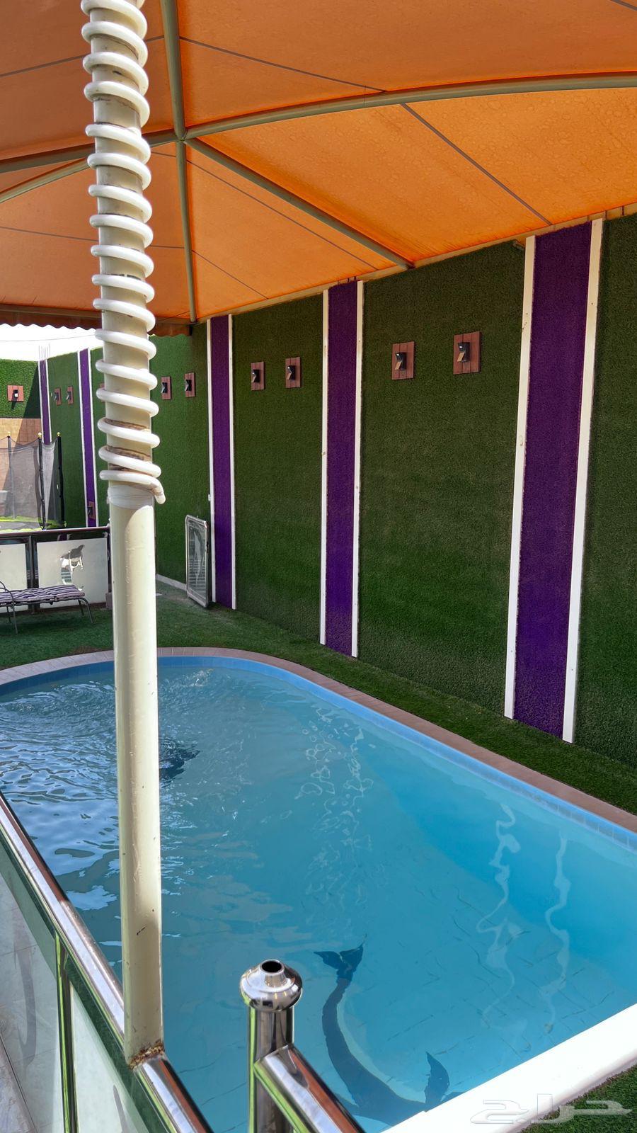 شاليه ايجار يومي شاليهات بشكات جنوب الرياض حي عريض64509686880386110