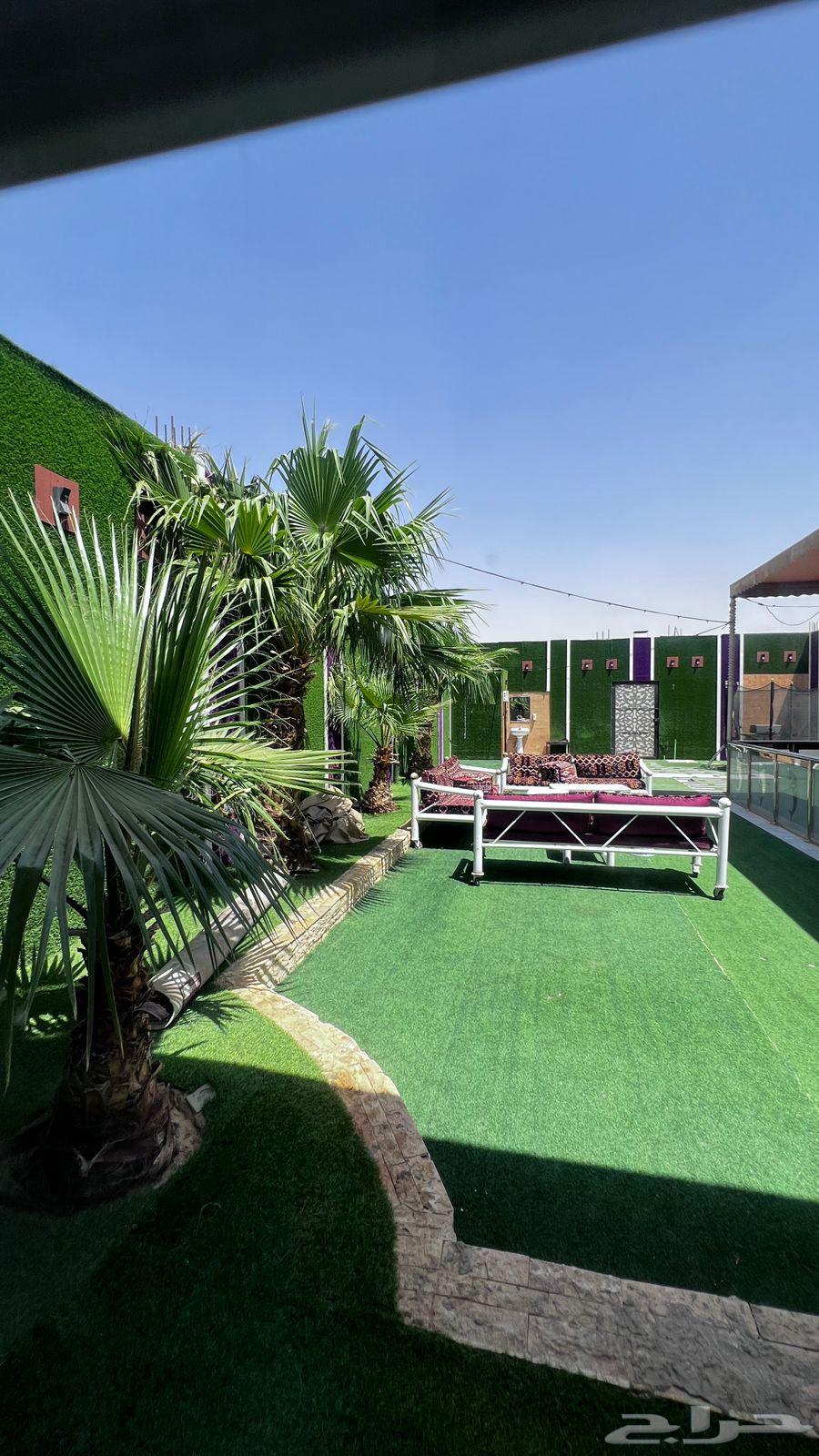 شاليه ايجار يومي شاليهات بشكات جنوب الرياض حي عريض64509686880386113