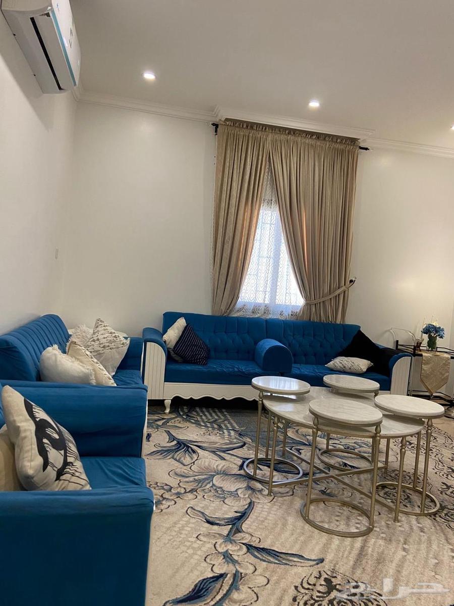 كنب وفرش للبيع64504296894593114