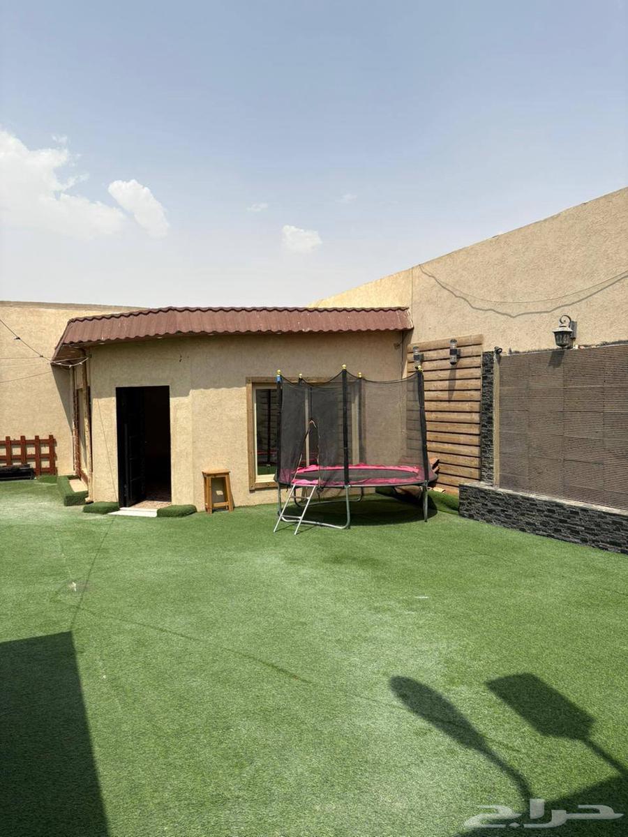 عروض اليوم الوطني64506364528899114