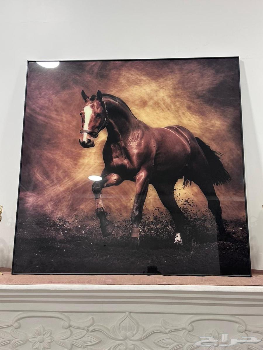 View64504132565633110