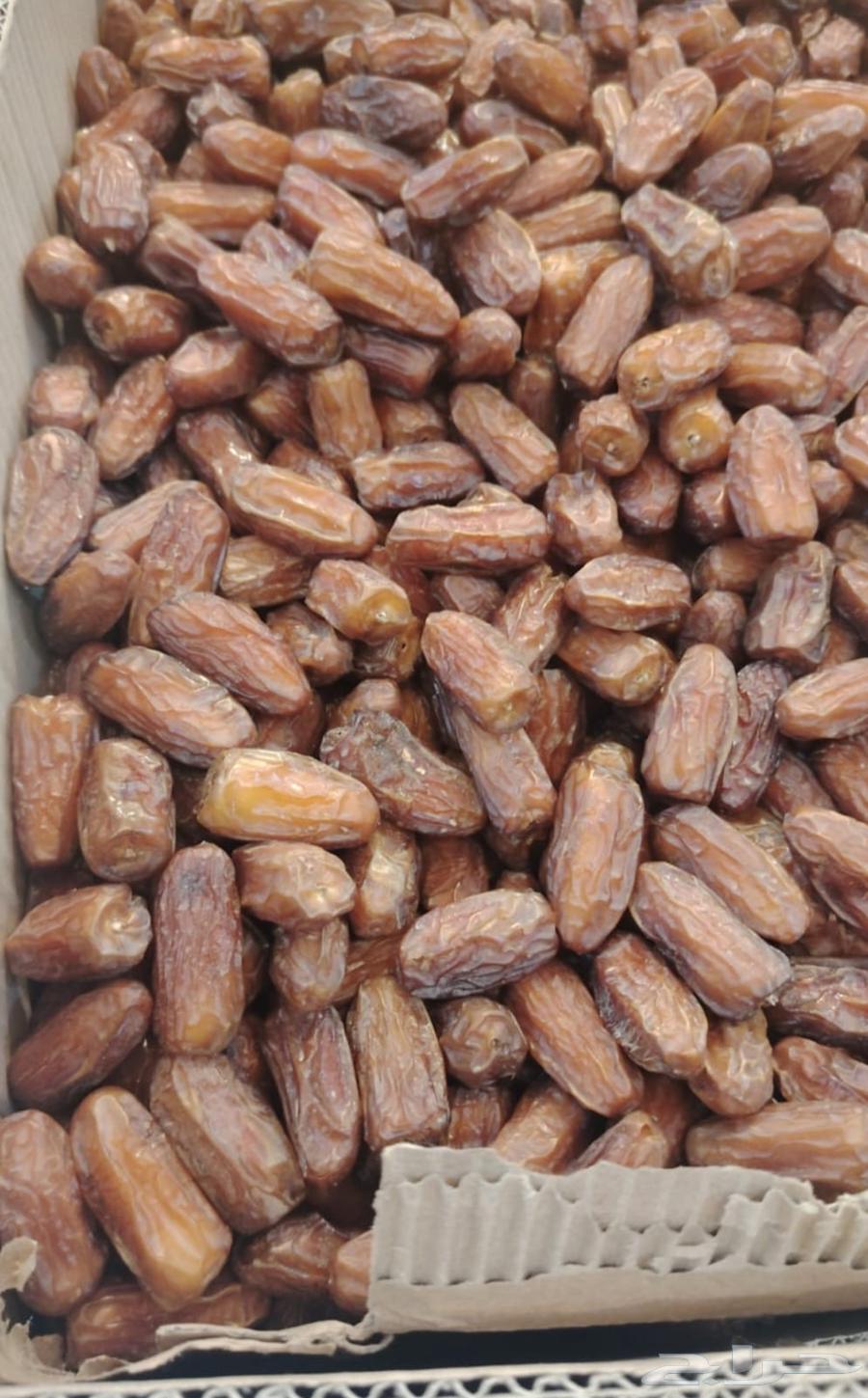 Safri Dates64507249214977113