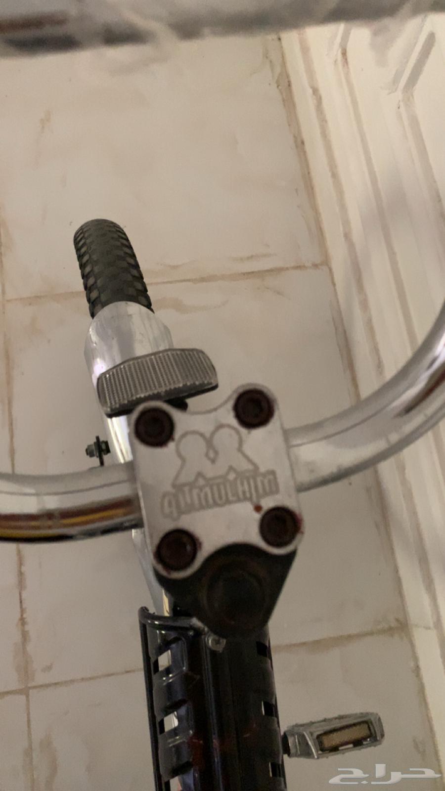 سيكل رامبو الملحم الأصلي الأندونيسي64514072723586114