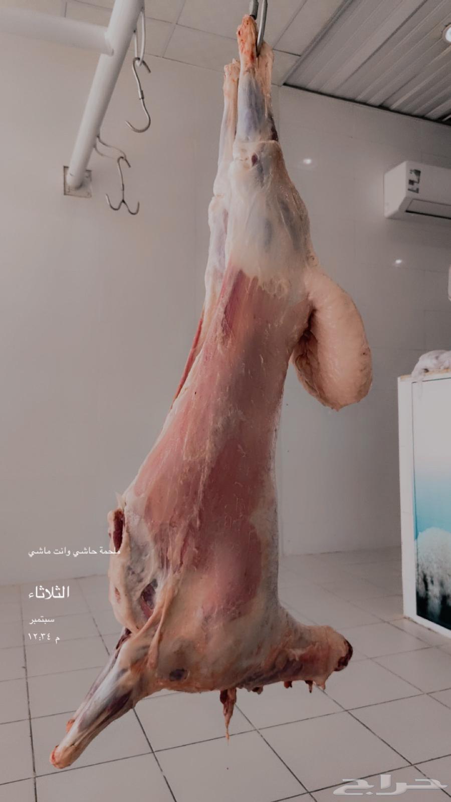 رخل بريه ذبح الان موجوده بالملحمة64513479454593112