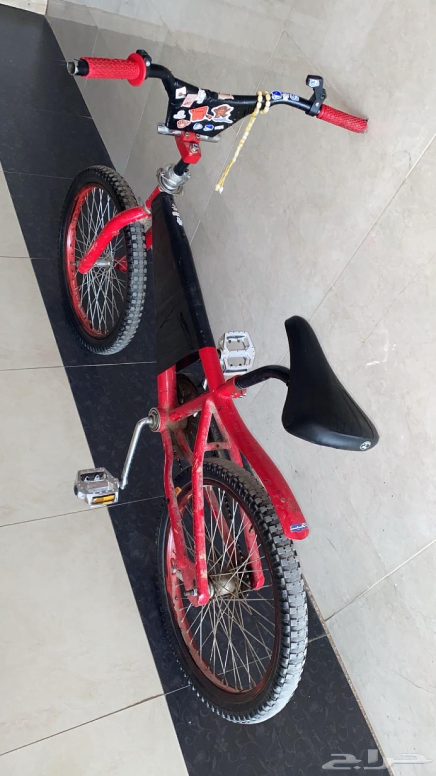 سيكل كوبرا للبيع64515122587394110