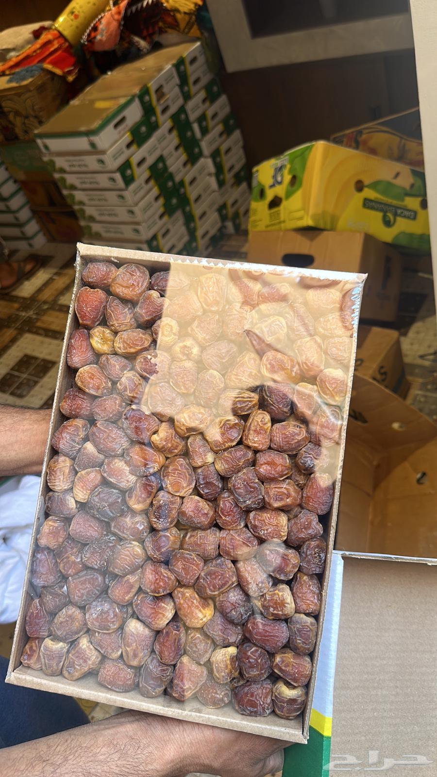 تمر سكري مفتل البيع جمله64517691063043111