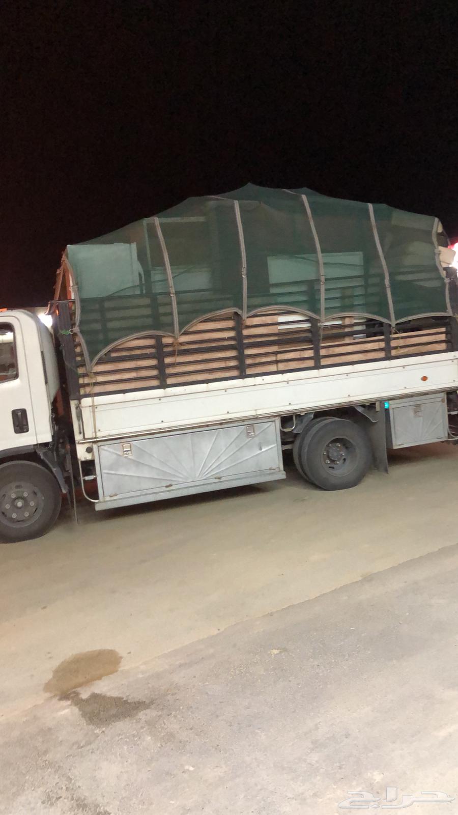 دنه دينا دنة الرياض طالعه لبيشة الباحة العلاية64149431653633111
