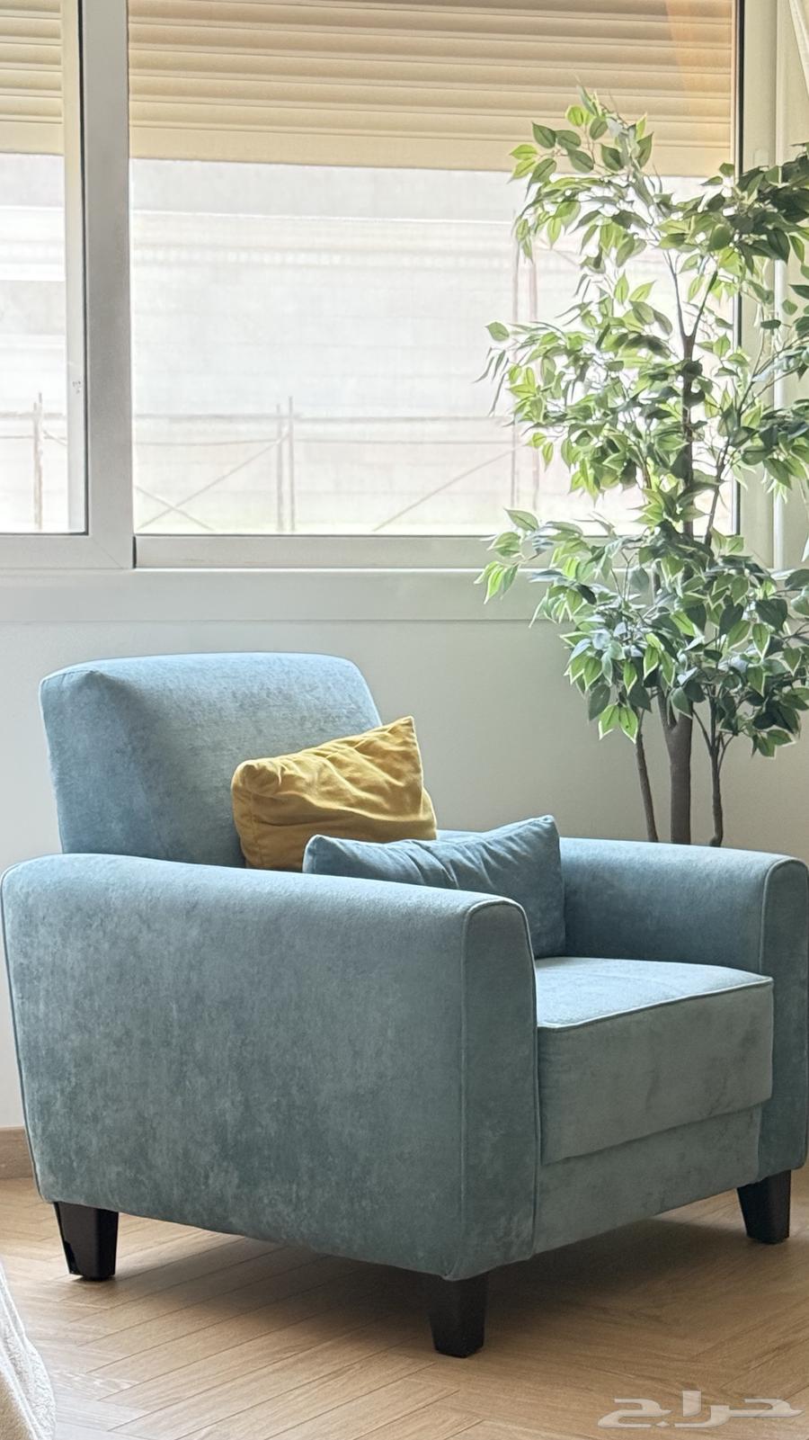 كنب مفرد بقيمة 600ريال64513825154435110