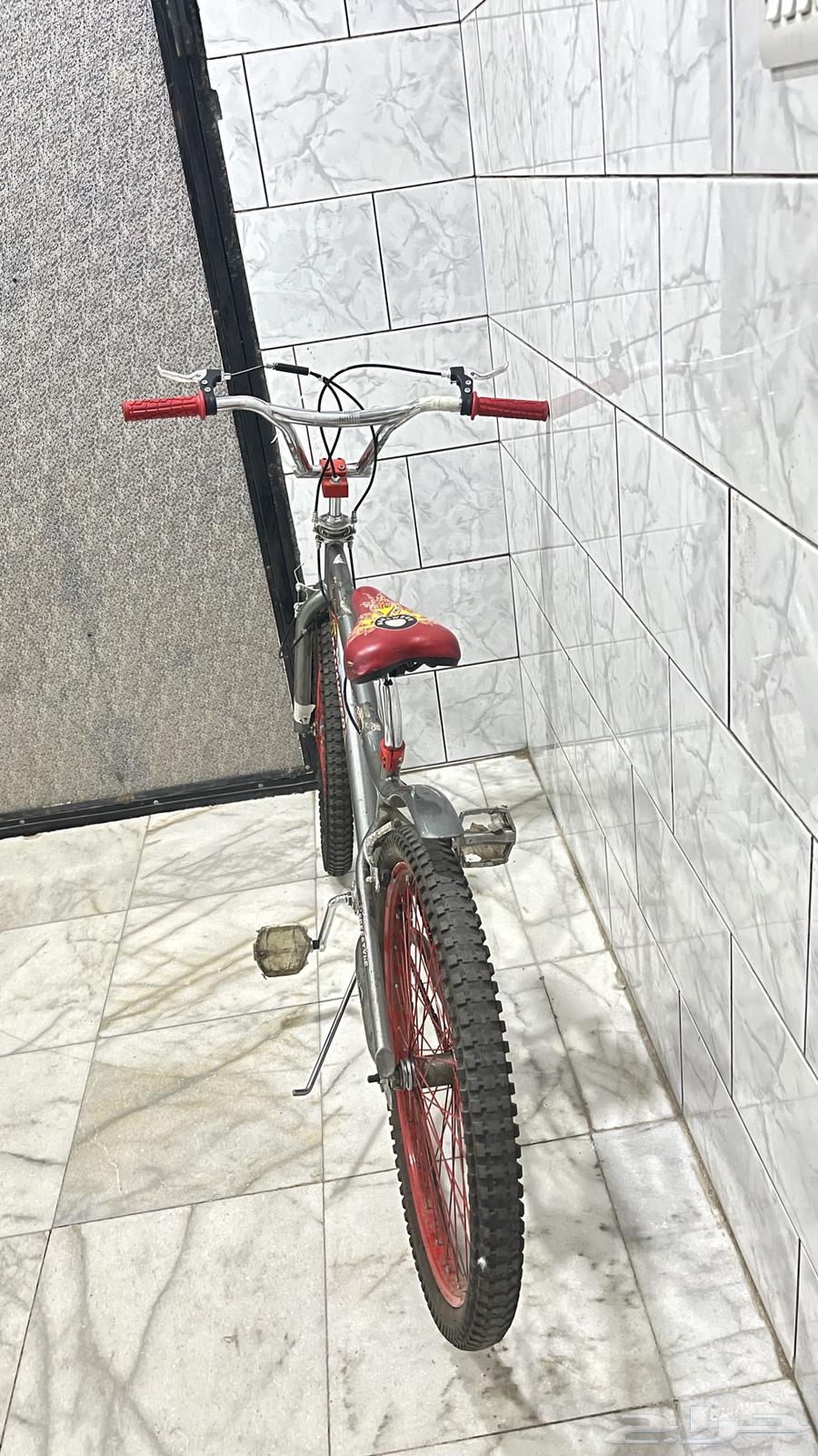 سيكل كوبرا مقاس2464516644514819111