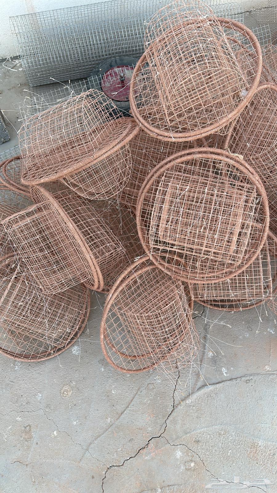 Double Circular Qarasha64518549999875110