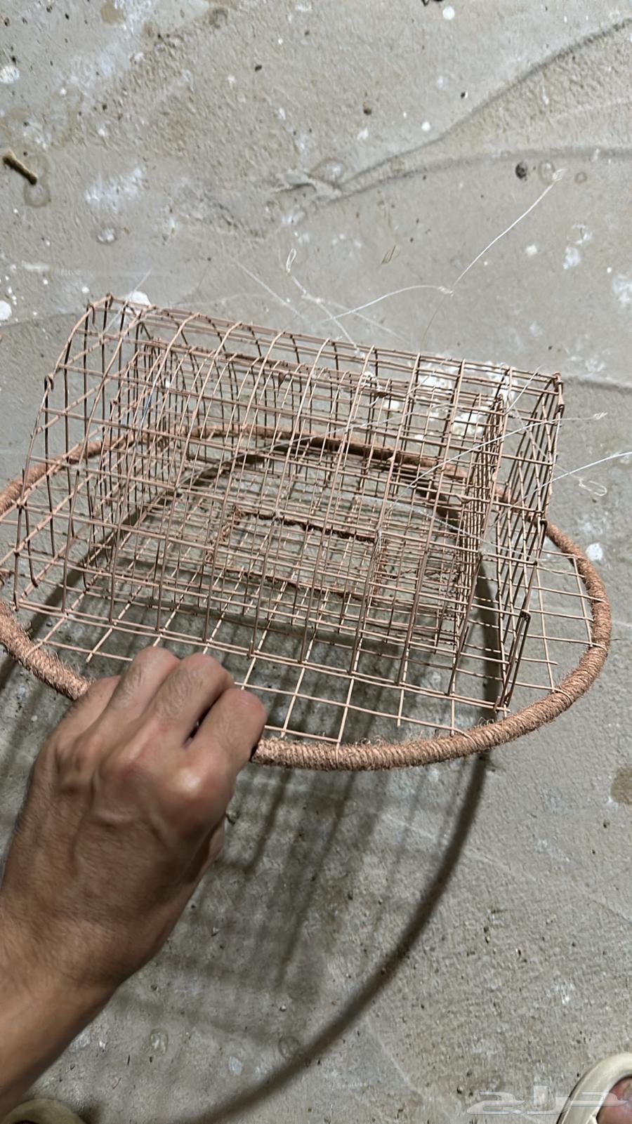 Double Circular Qarasha64518549999875112