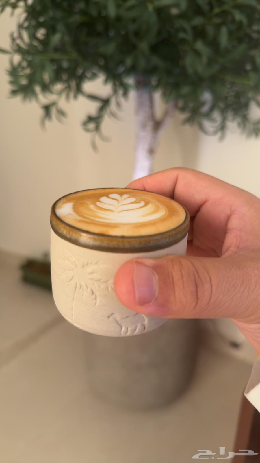 Olive tree with natural trunk and artificial branches, high quality64481818167809113