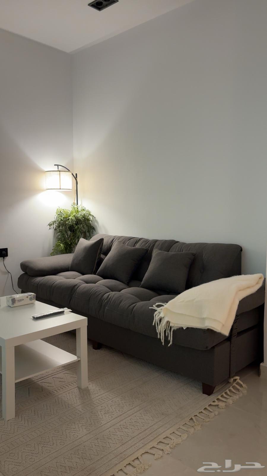 Sofa64518067447809110