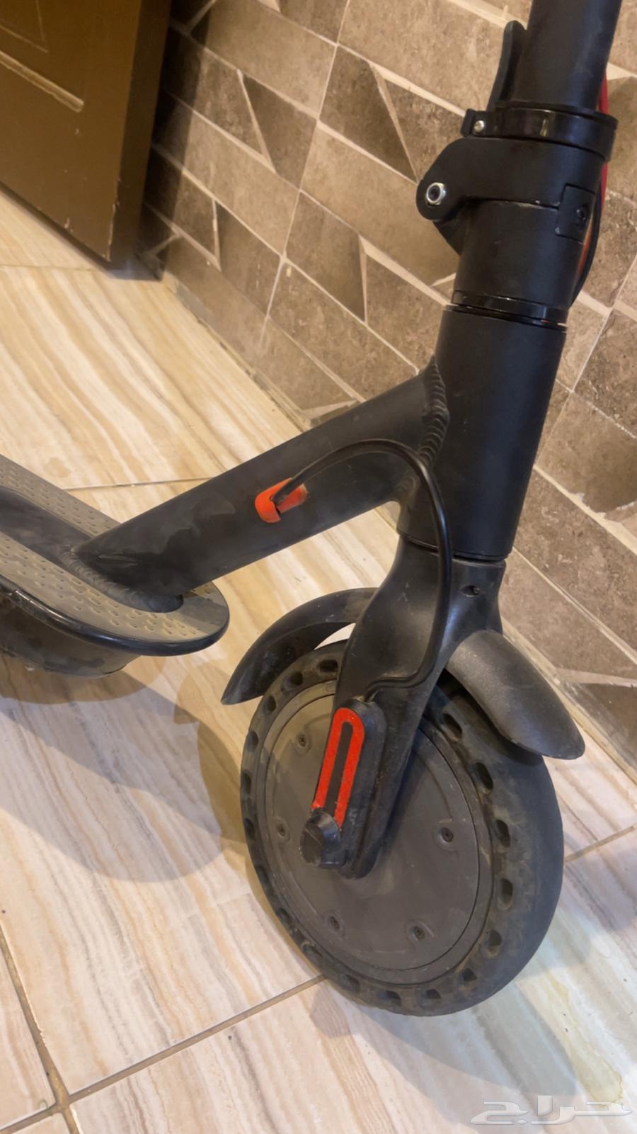 Bicycles, Motorcycles, and Scooters64517775461379112