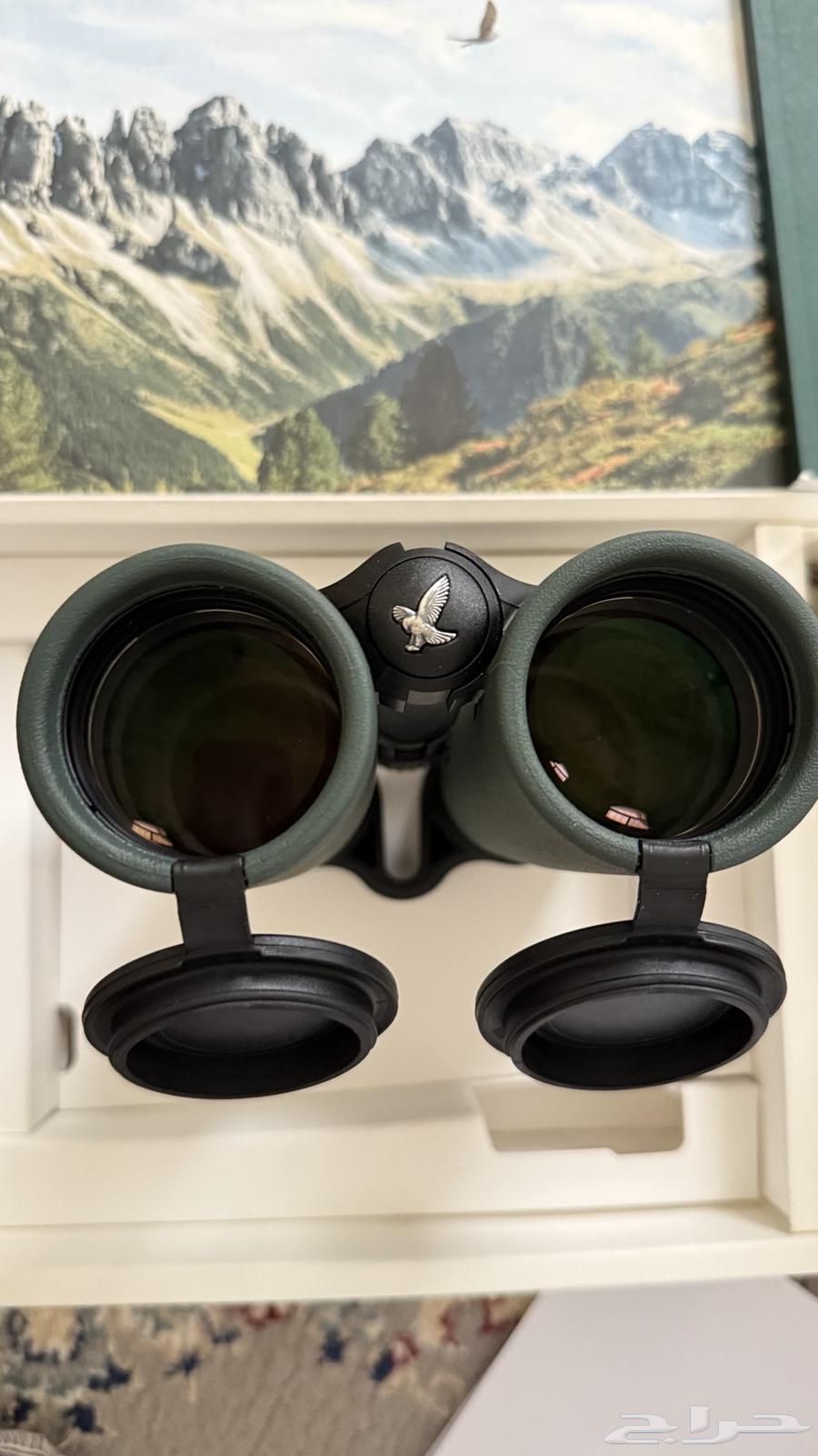 دربيل سوارفسكي نمساوي 10 4264489875266179112