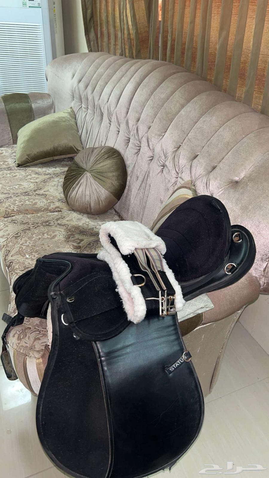 Original Status saddle for sale, used for one full year, you have the right to inspect64514362450435110