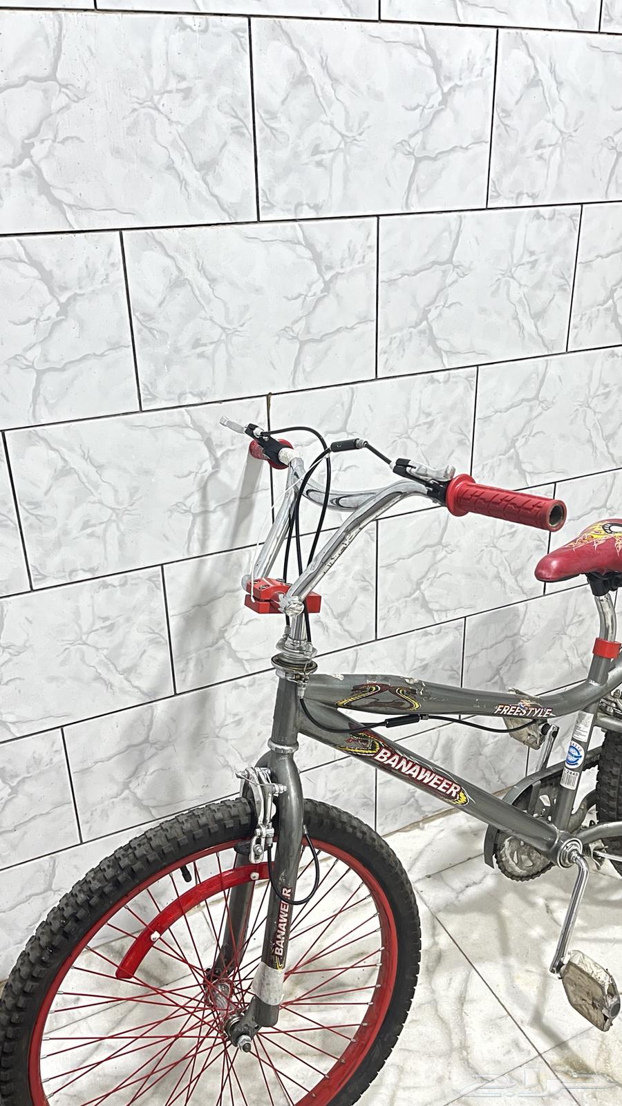 سيكل كوبرا مقاس2464516644514819112