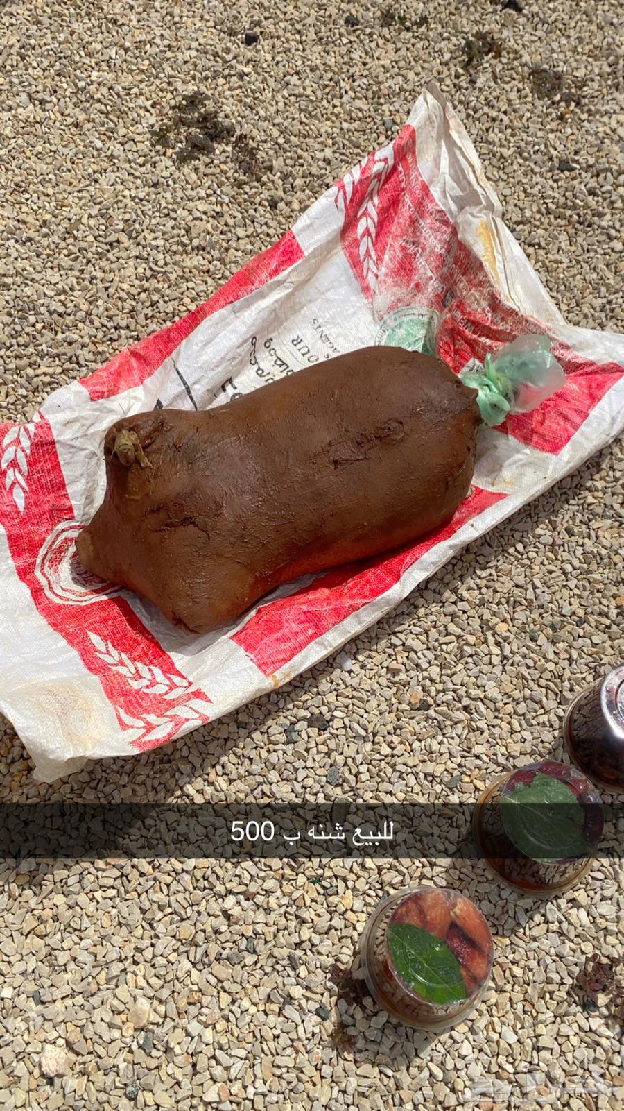 Dates Bag and Boxes 900 Grams64517178367489110