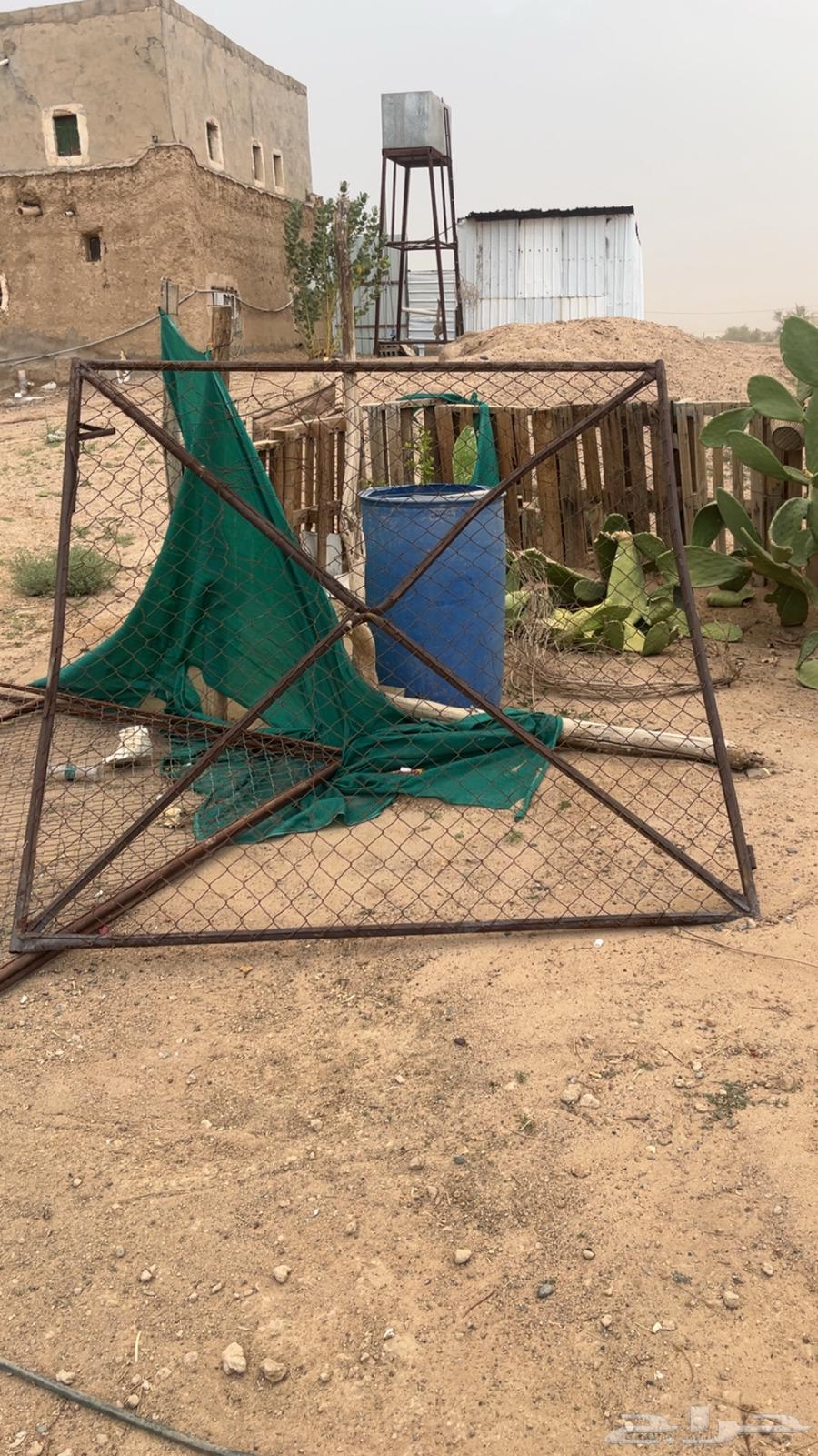 بوابه أمريكي 2في 264511464832897110