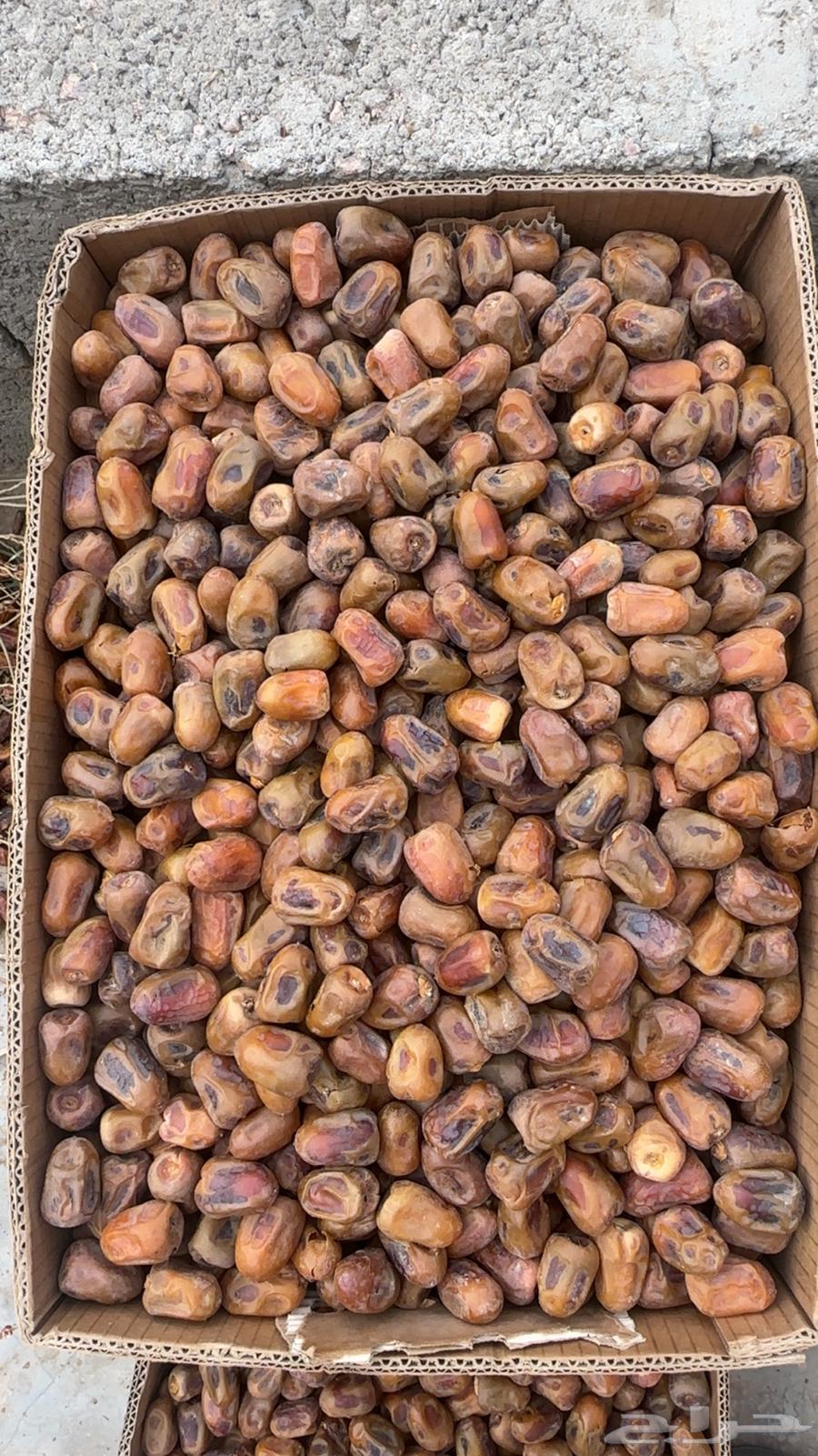 سكري فاخر حبه كبير حشو الكرتون ب 70 البيع جمله تم البيع64515221035011110