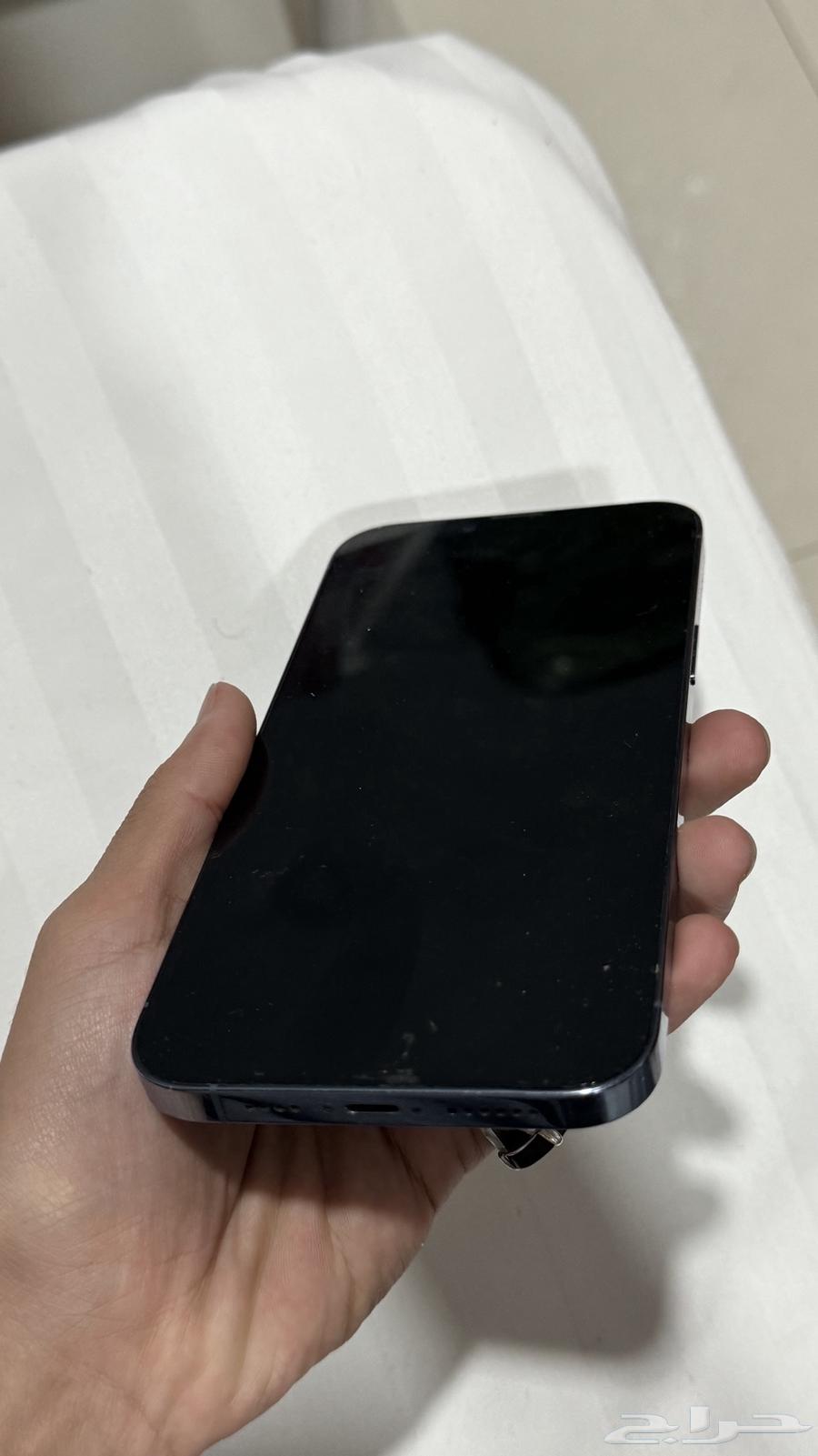 iPhone 13 Pro Max64516100521474111