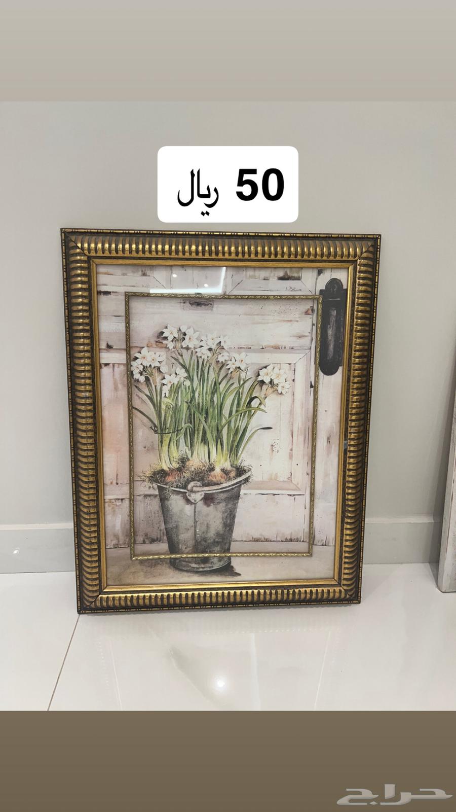 لوحات جديدة للبيع64516644619523114