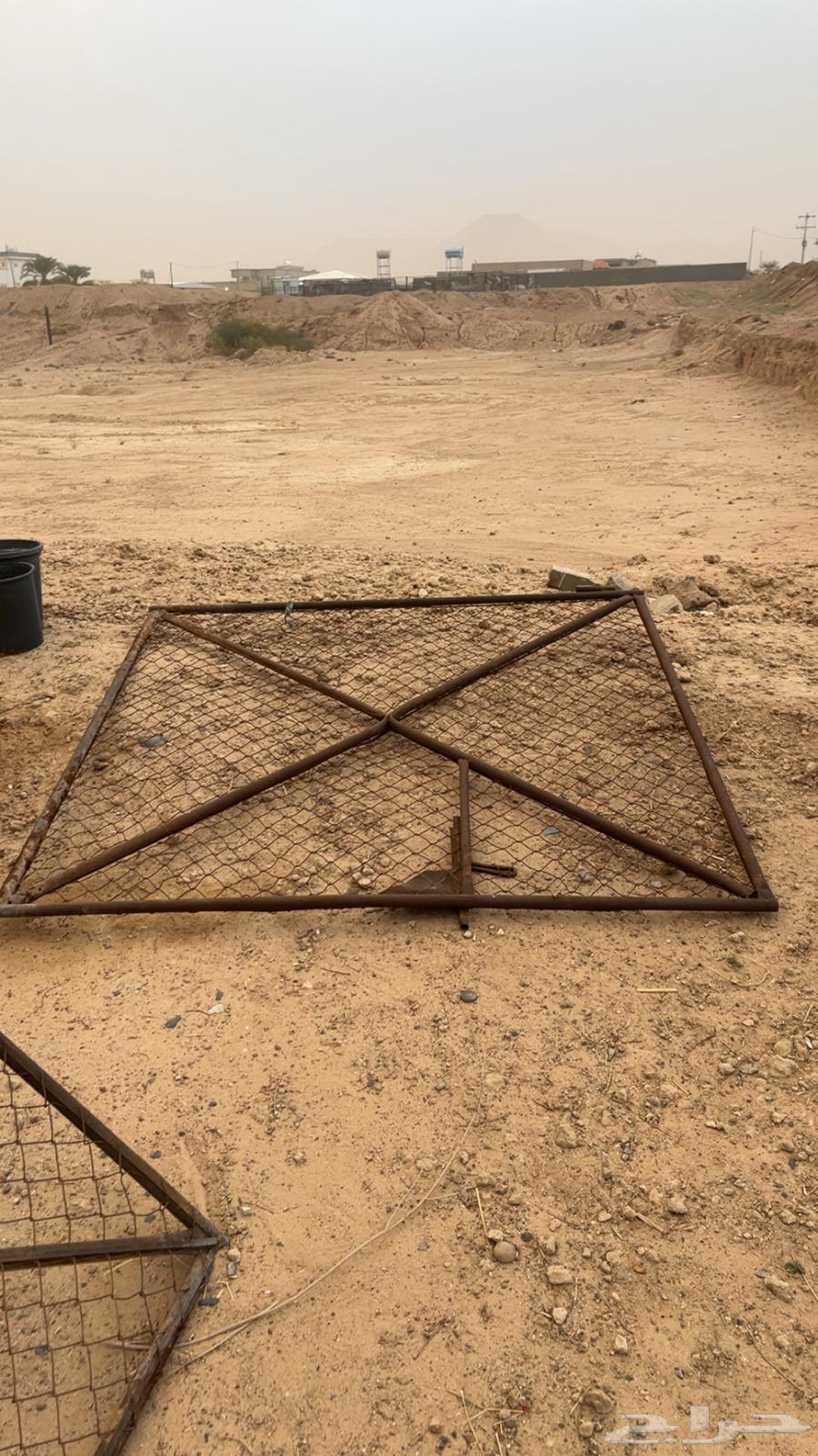 بوابه أمريكي 2في 264511464832897111