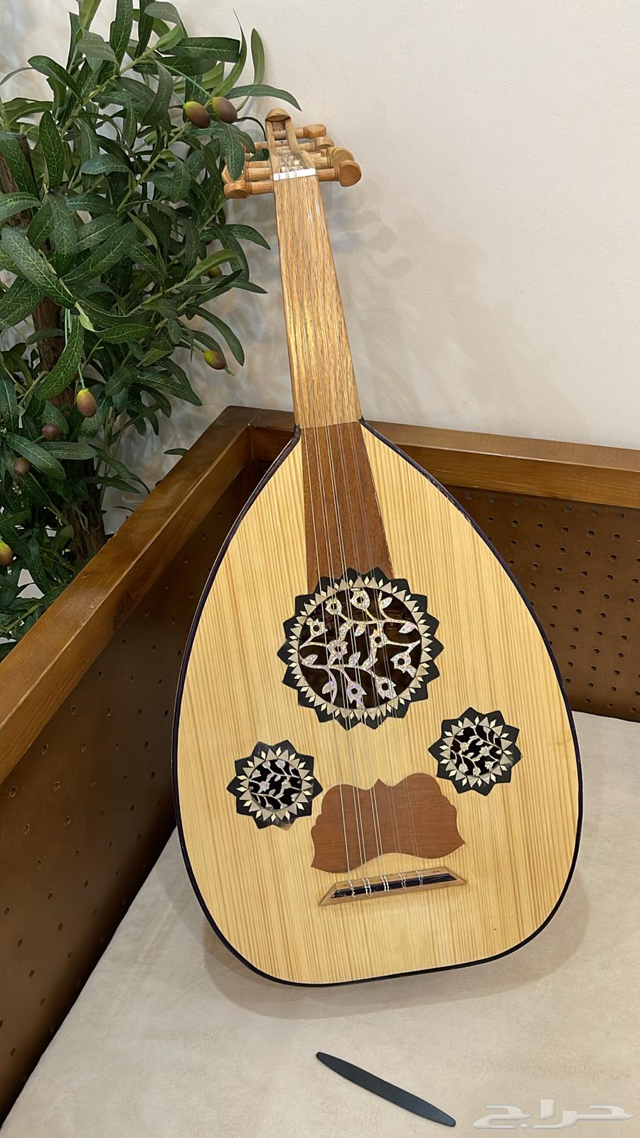 عود للبيع64512637041154110