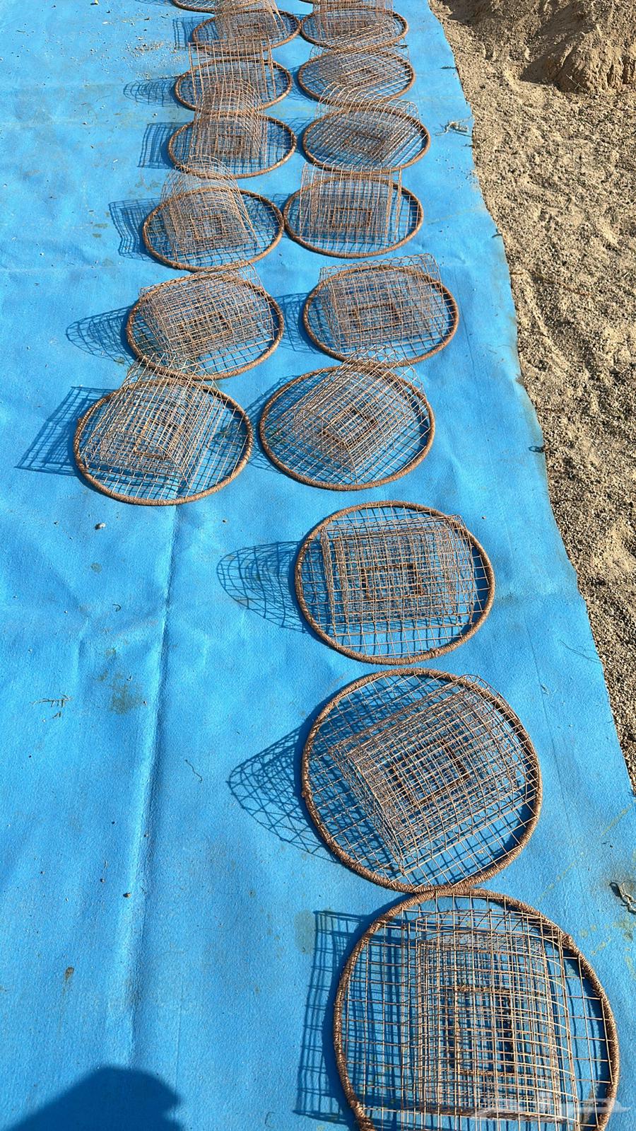 Double Circular Qarasha64518549999875113