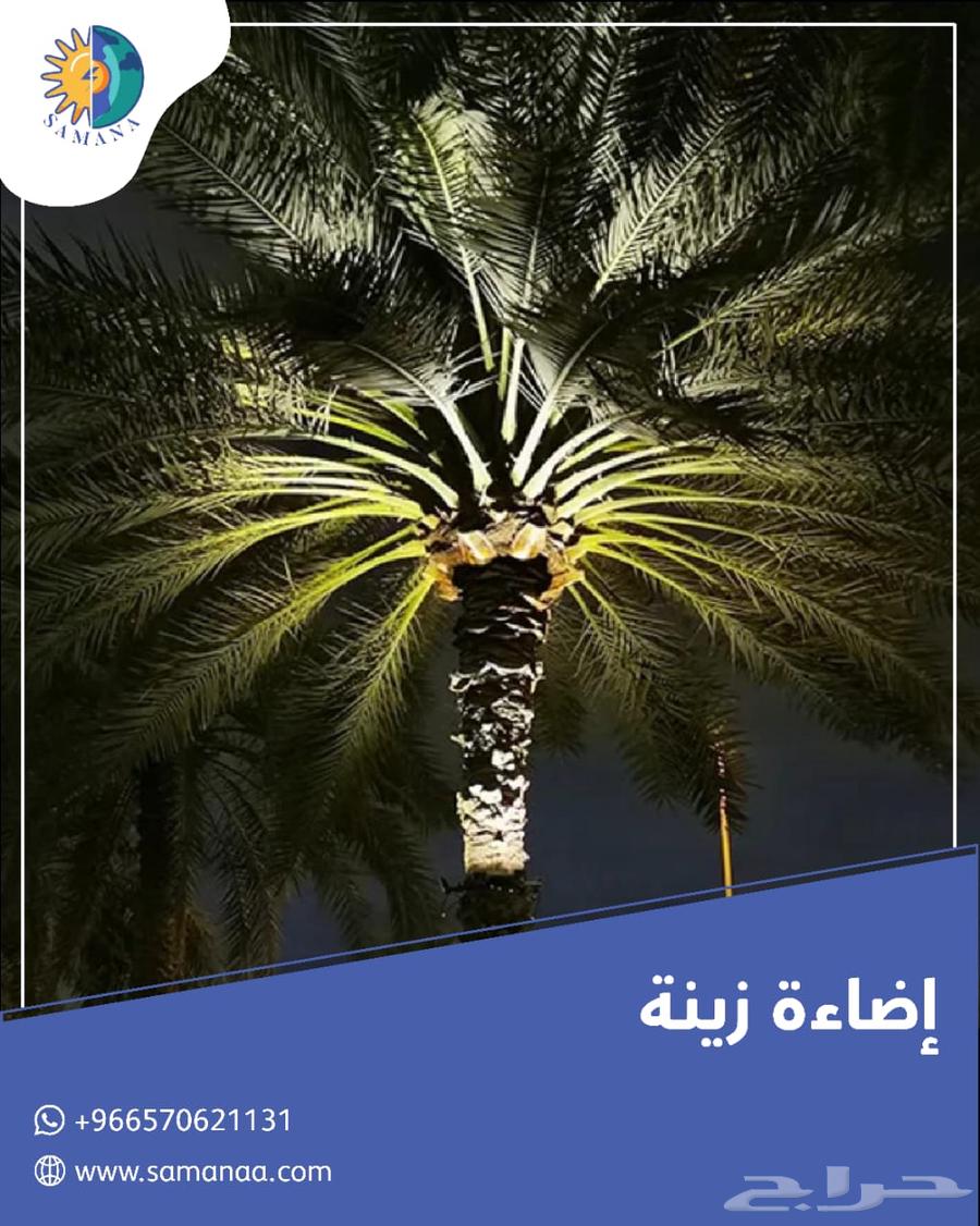 Solar-powered palm tree lights without any extensions64512580678275113