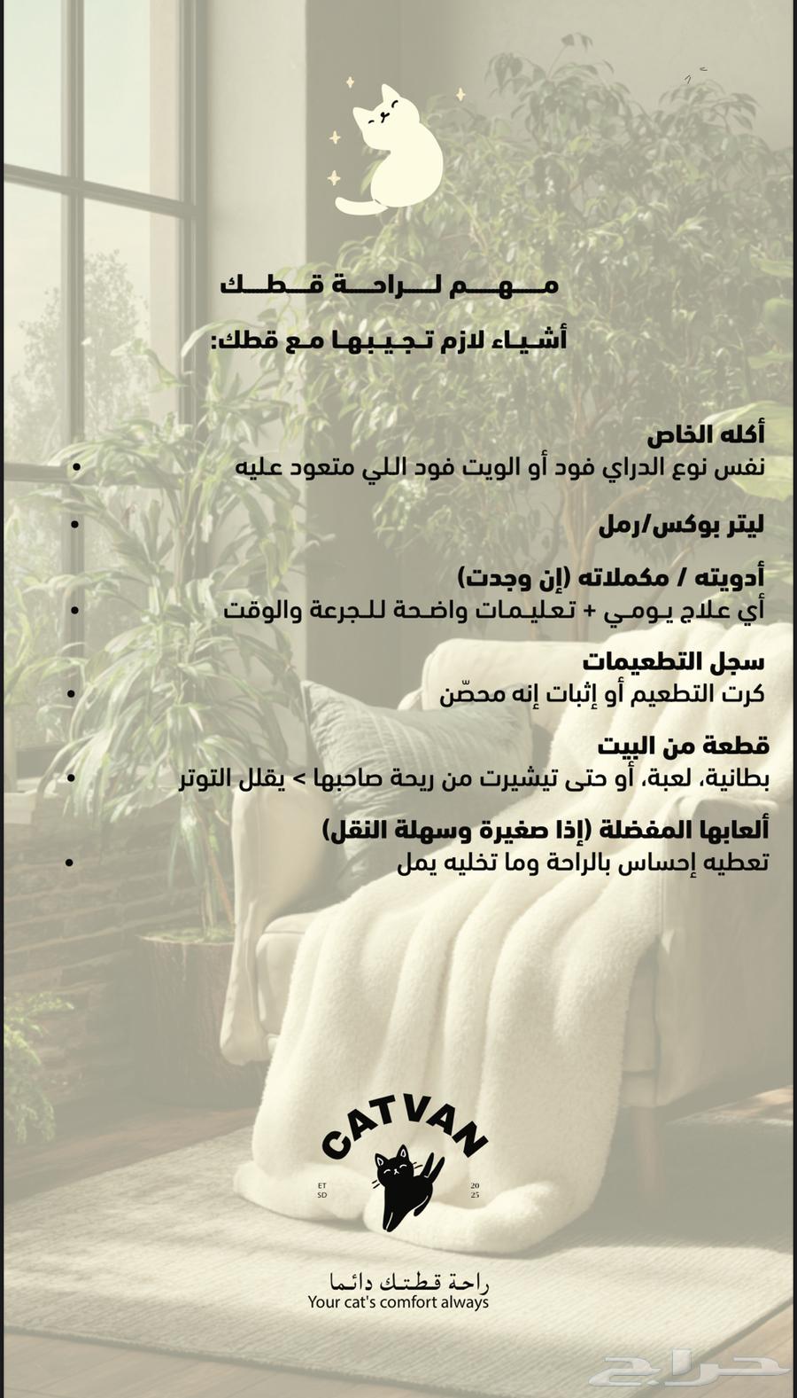 فندقه قطط64149435247617112