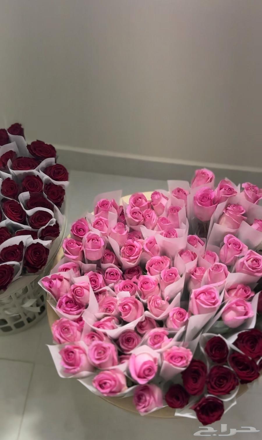 ورد طبيعي جمله وتوزيعات ورد64511829222274110