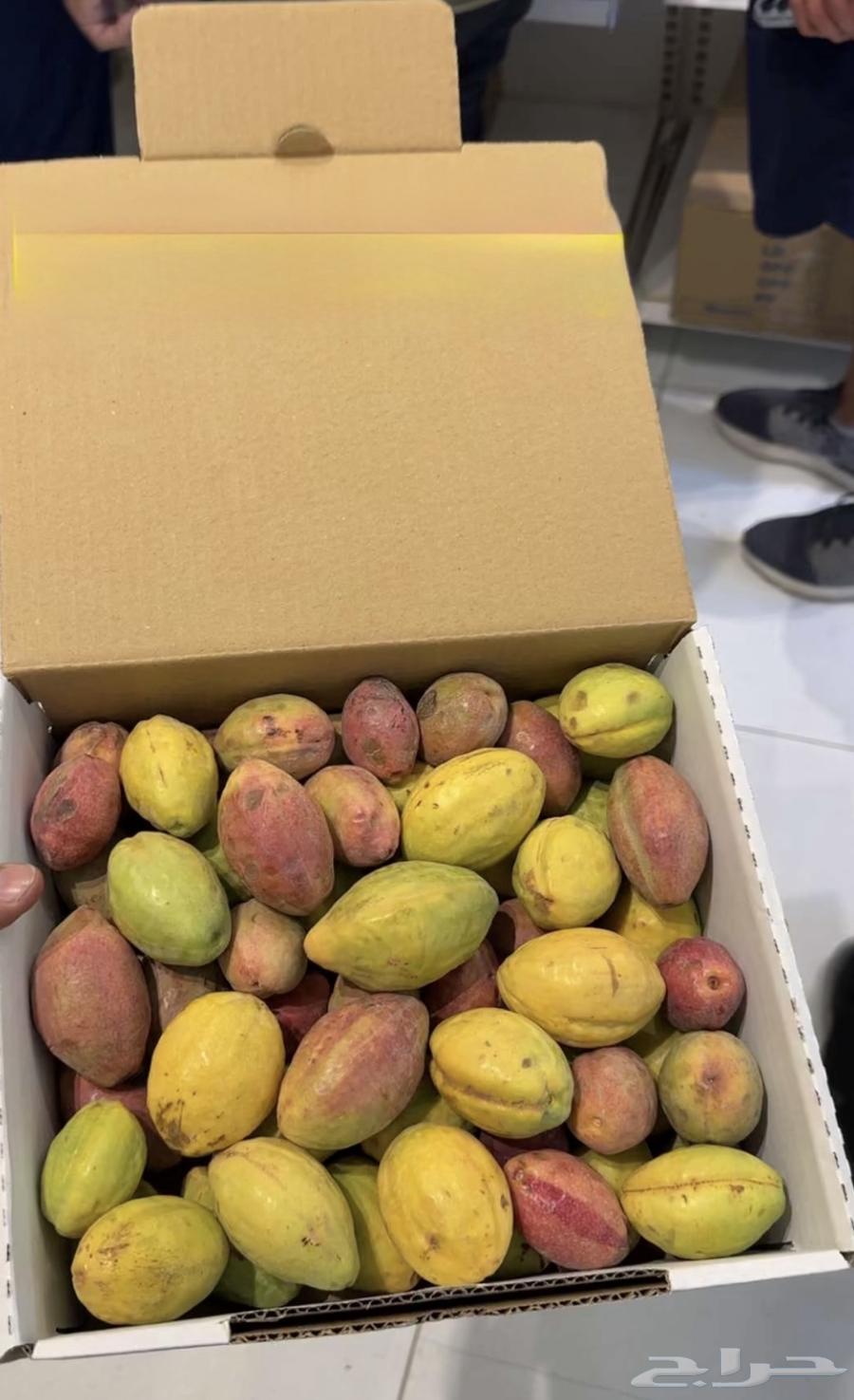 Luz64516197948929111