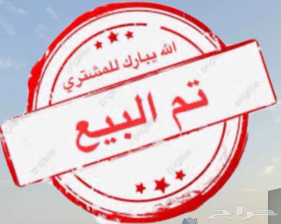 خروف نعيم تم البيع64507067955842111