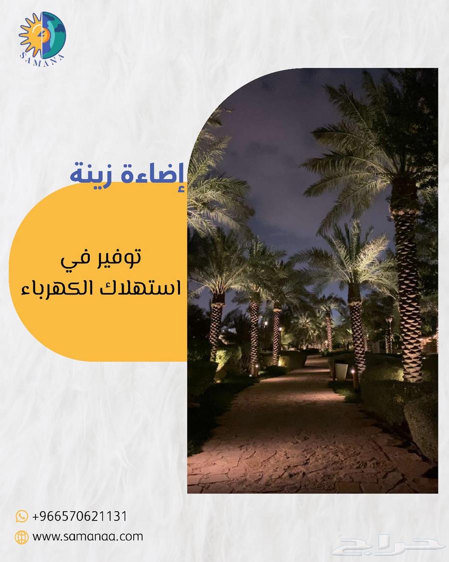 Solar-powered palm tree lights without any extensions64512580678275114